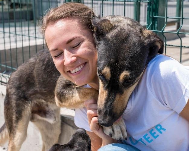 adoção de animais abandonados