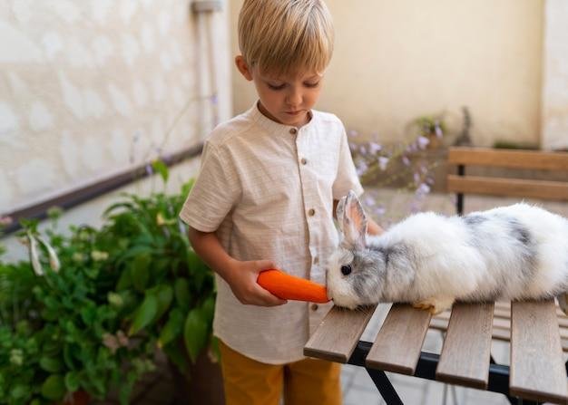 alimentação adequada para coelhos e porquinhos-da-índia