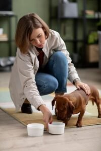 Alimentação Natural para Cachorros é Segura? Descubra Agora!