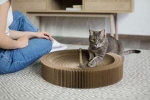 Arranhadores para gatos: como escolher o ideal para sua casa