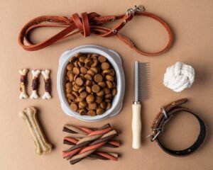 Coleiras e Peitorais Mais Comprados para Cachorros: Saiba Tudo!