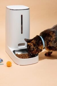 Comedouros Automáticos para Pets: Revolucione a Alimentação do Seu Animal