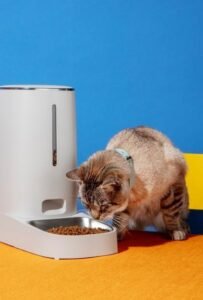 Comida Úmida para Gatos Mais Vendida: O Que Faz Sucesso?