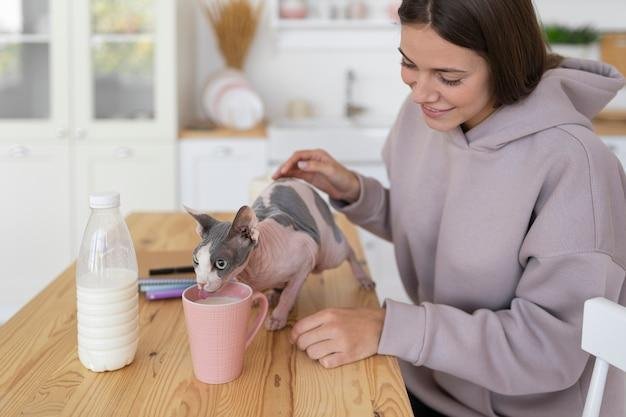 como ajudar o gato a perder peso de forma saudável
