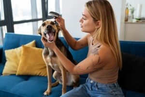 Como cortar as unhas do cachorro sem estresse: Dicas Práticas