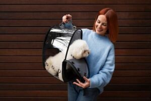 Como escolher a caixa de transporte ideal para seu pet