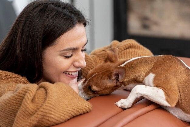 como prevenir doenças em cães e gatos