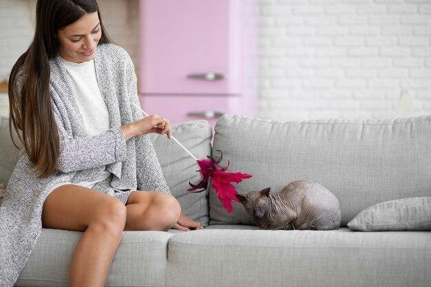 cuidados específicos para raças de gatos exóticos