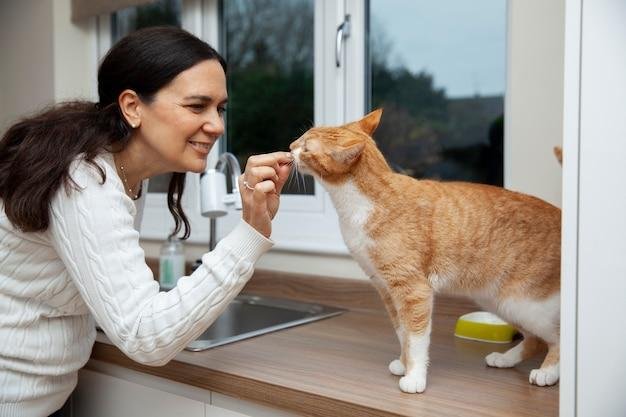 dicas para cuidar da higiene do gato