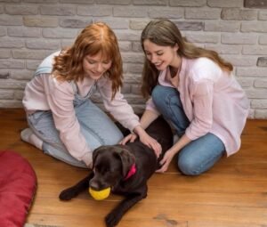 Dicas para socializar um filhote de cachorro e evitar problemas futuros