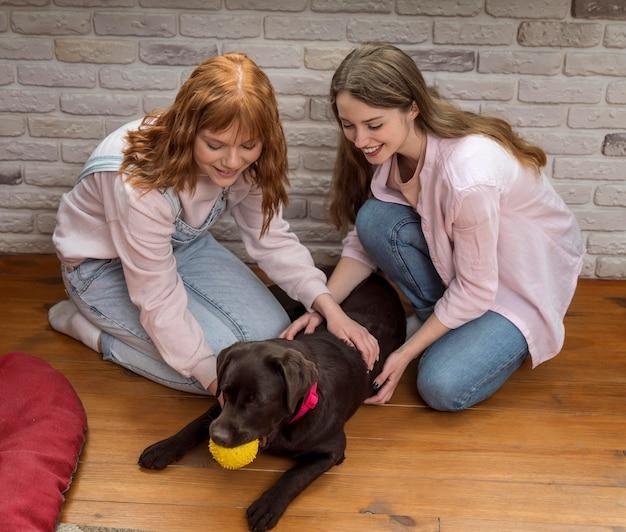 dicas para socializar um filhote de cachorro