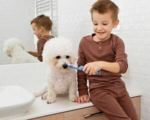 Escovação Dental para Cães e Gatos: Como Fazer de Forma Correta