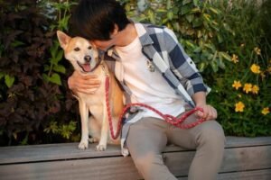 Guia de tamanhos de coleiras e peitorais para cães: Encontre o Ideal