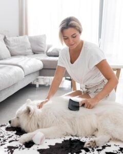 Melhor Aspirador de Pelos de Animais: Descubra o que Realmente Funciona