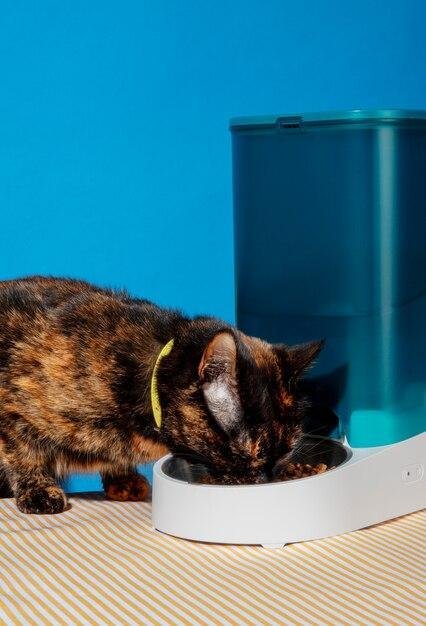 melhores fontes de água para gatos mais populares