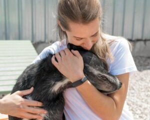 melhores ONGs para adoção de pets