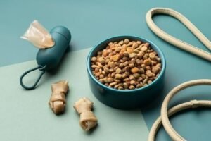 Melhores rações para cães filhotes: Descubra as opções ideais!