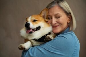 Melhores Vitaminas para Cães Idosos: Aumente a Vitalidade do Seu Pet