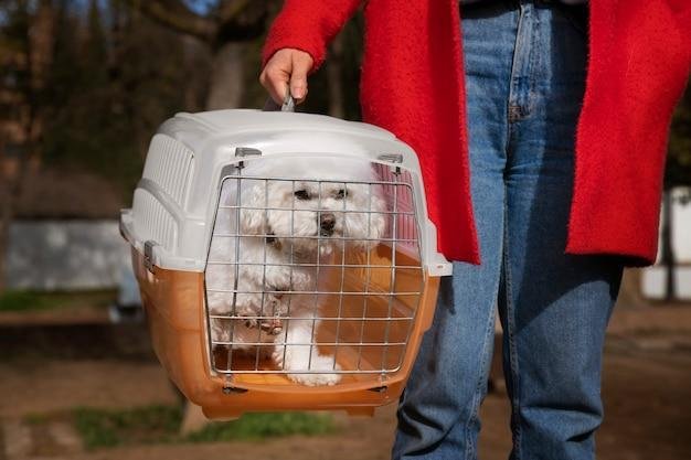 Caixas de transporte para viagens