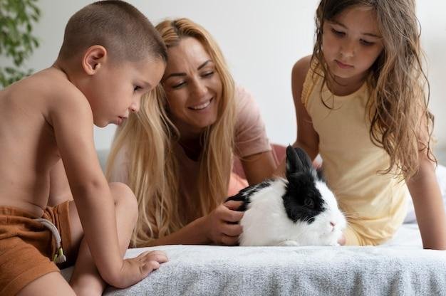 Como cuidar de um coelho em casa