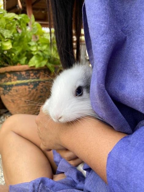 Como escolher uma ração para coelhos