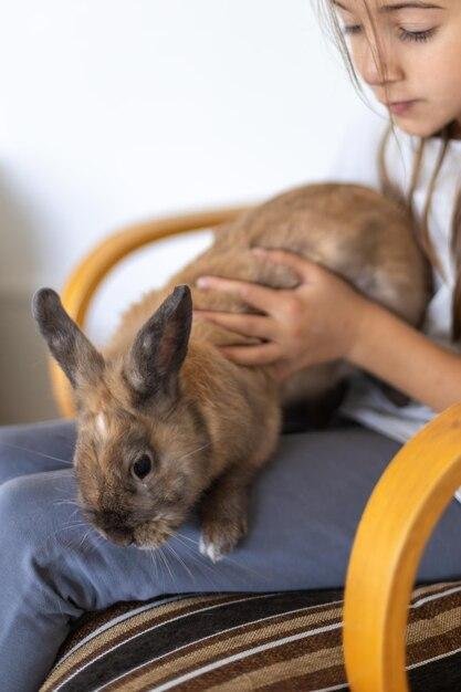 Como montar uma dieta balanceada para coelhos