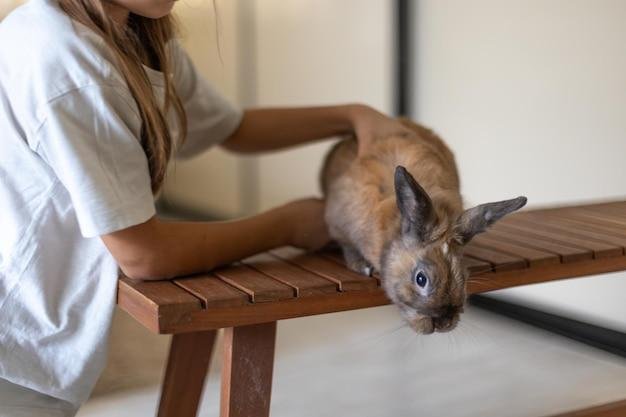 Como montar uma gaiola para coelhos