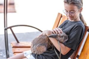 Como socializar um furão com outros pets: Guia Definitivo