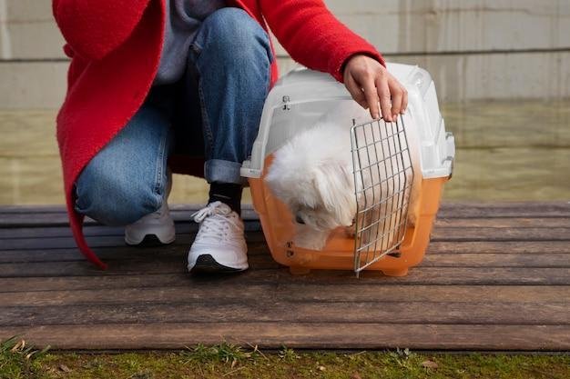 Como transportar um furão com segurança