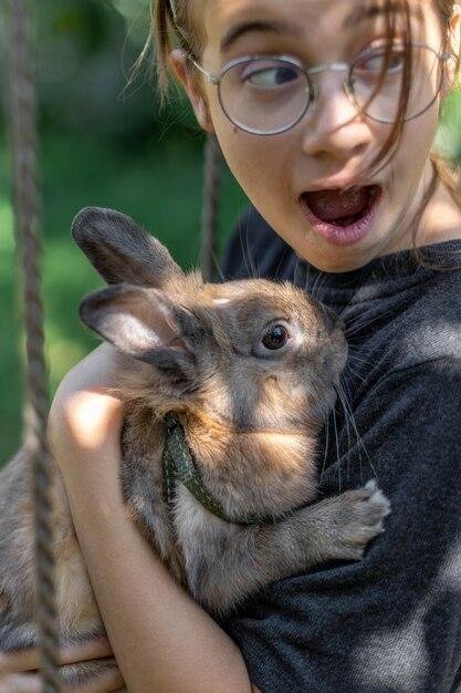Curiosidades sobre a memória dos coelhos
