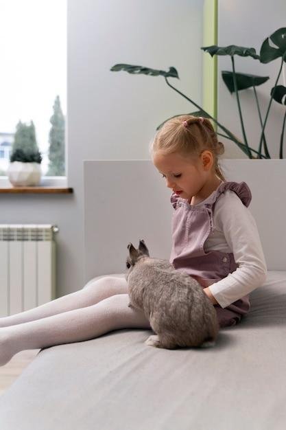 Dicas para cuidar de coelhos filhotes