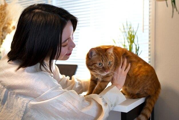 Fatos interessantes sobre a audição dos gatos