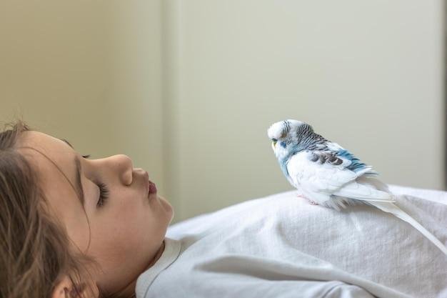 Por que os pássaros cantam pela manhã?