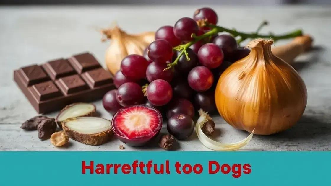 Alimentos proibidos para cachorros: descubra os perigos ocultos