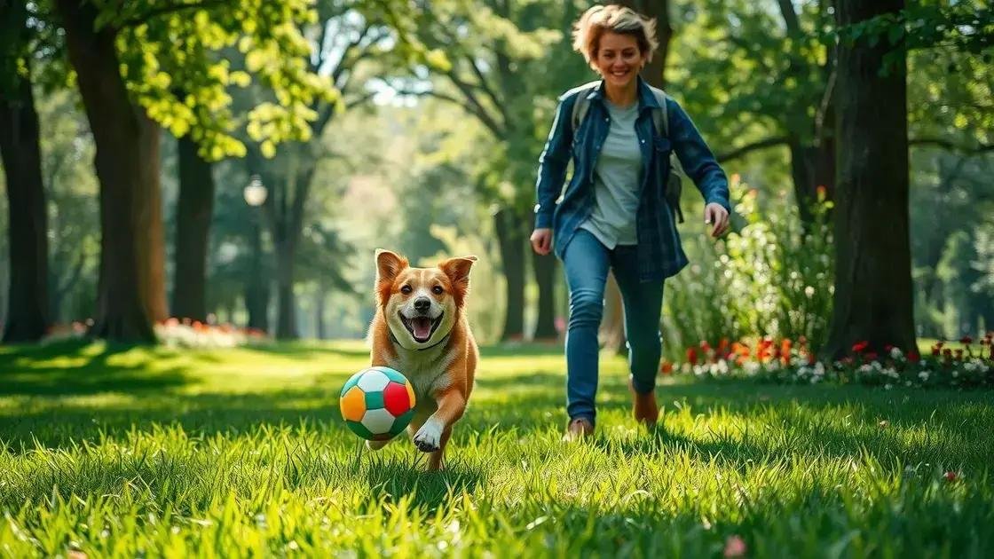 Atividades interessantes durante o passeio