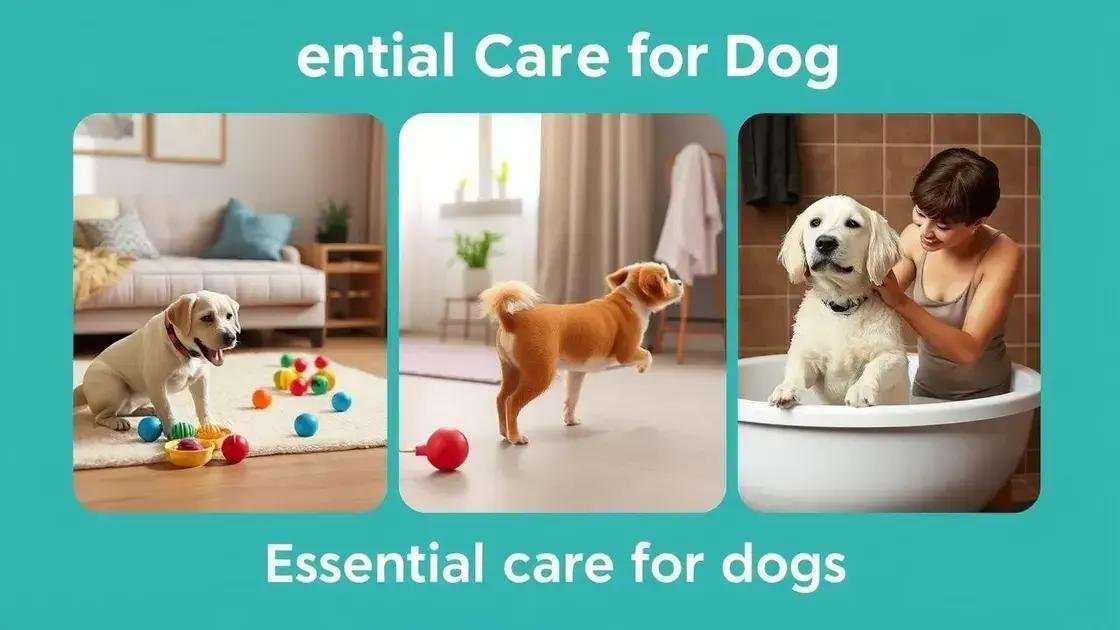 Cuidados essenciais para cães em apartamento