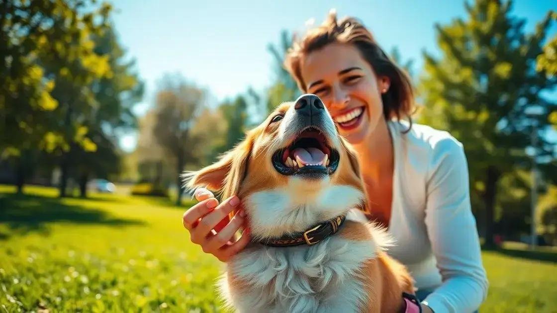 Dicas para reforço positivo no treinamento