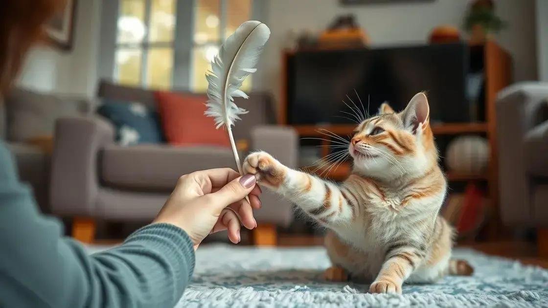 Dicas para socializar e brincar com seu gato