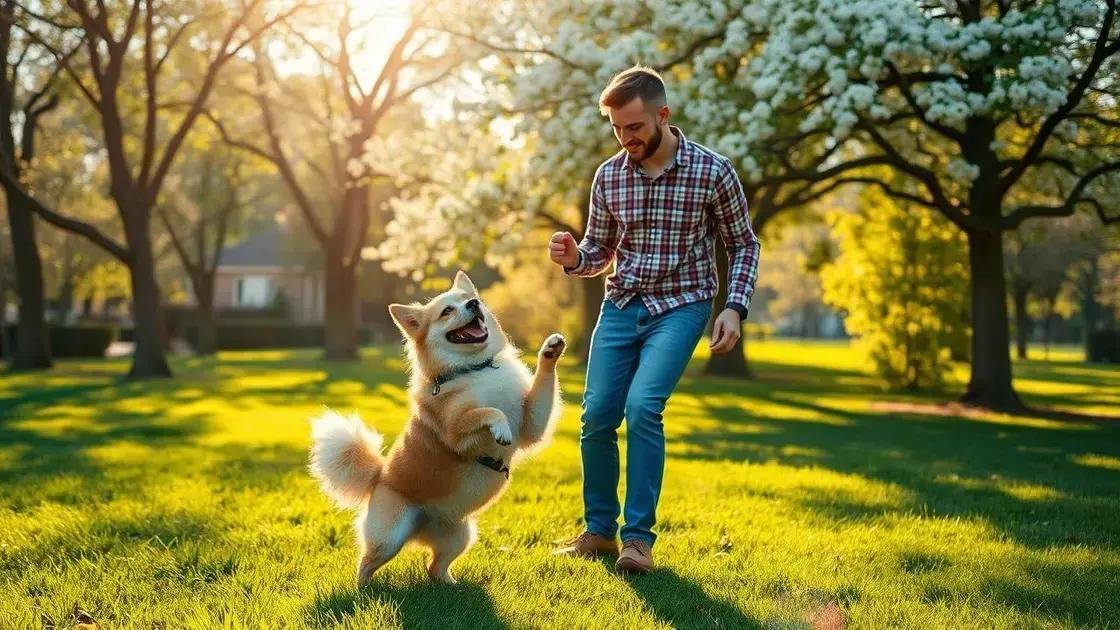 Como ensinar truques para o seu pet de maneira fácil e divertida