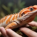 Como lidar com a troca de pele de répteis: guia completo e dicas essenciais