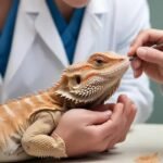 Doenças de pele em répteis: como identificar e tratar antes que piore